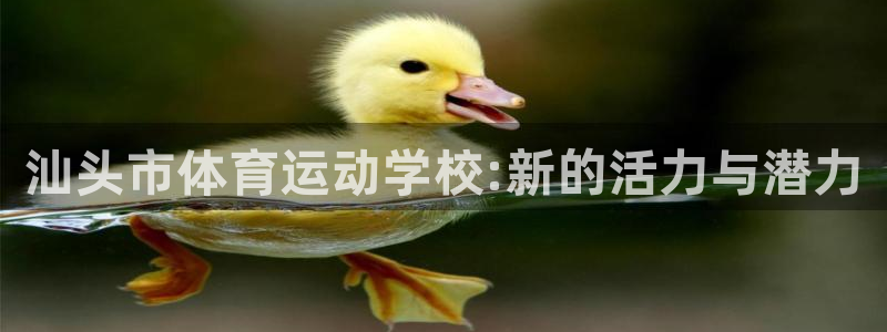 MK体育官方正版app娱乐首页官网下载：汕头市体育运