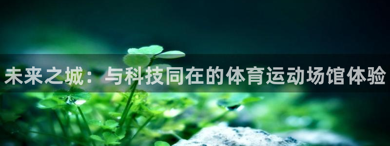 MK体育官方正版app五金厂：未来之城：与科技同在的