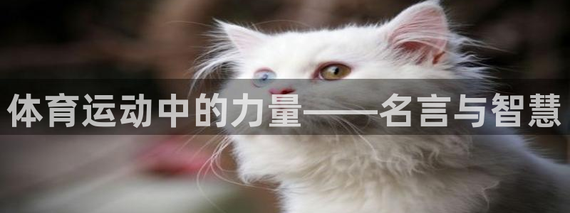 MK体育官网下载开户：体育运动中的力量——名言与智慧