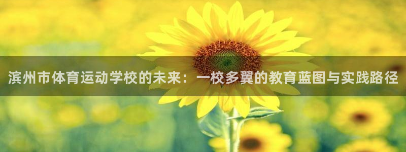 MK体育官方正版app代理：滨州市体育运动学校的未来