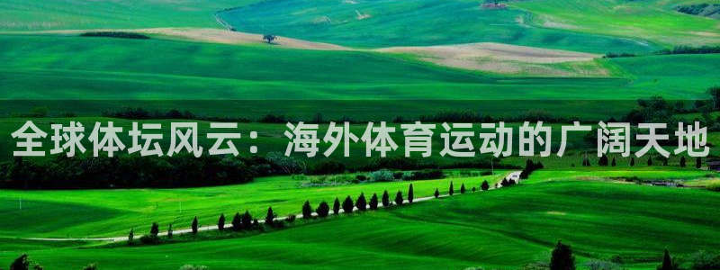 MK体育官网下载平台假的吗是真的吗：全球体坛风云：海
