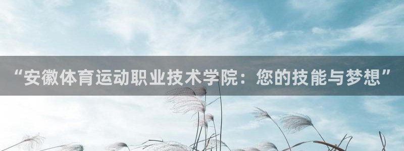 MK体育官方正版app集团官网首页网址：“安徽体育运