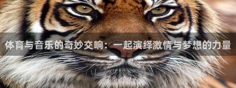 MK体育官网下载娱乐：体育与音乐的奇妙交响：一起演绎