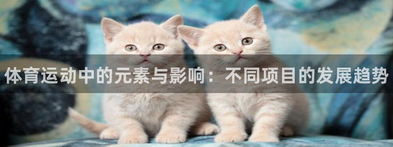 MK体育官网下载平台APP：体育运动中的元素与影响：