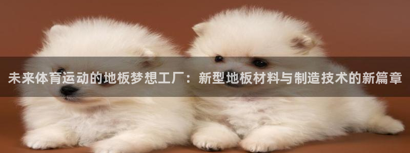 MK体育官网下载注册：未来体育运动的地板梦想工厂：新