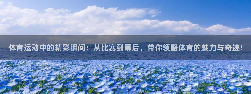 MK体育官网下载平台注册流程视频：体育运动中的精彩瞬