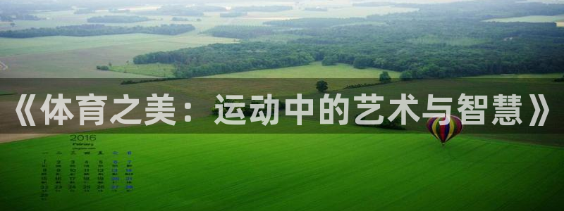 MK体育官网下载招商电话号码是多少啊：《体育之美：运动中的艺