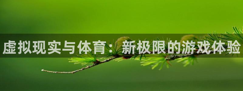 MK体育官方正版app开户：虚拟现实与体育：新极限的