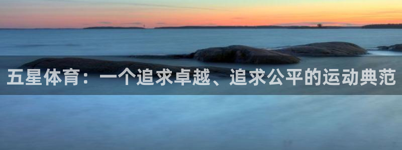MK体育官方正版app集团logo：五星体育：一个追求卓越、