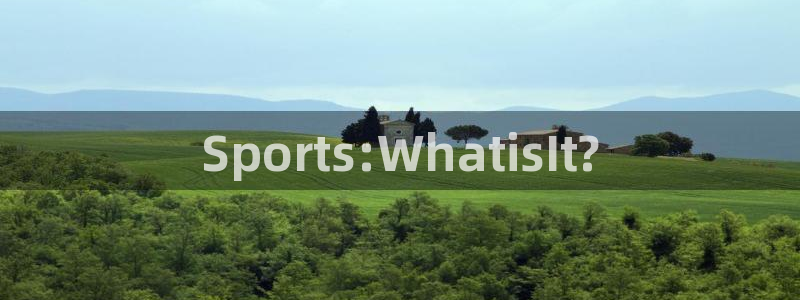 德国MK体育官方正版app集团：Sports:WhatisI