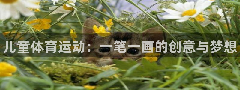MK体育官网下载招商电话号码是多少啊：儿童体育运动：一笔一画