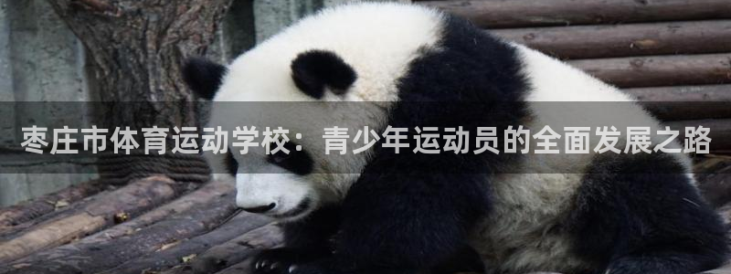 注册MK体育官方正版app：枣庄市体育运动学校：青少年运动员