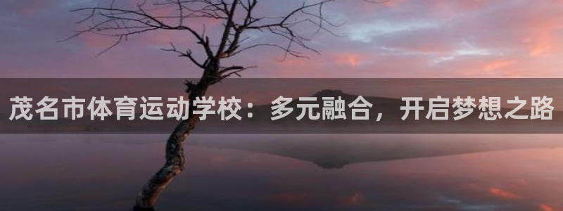 MK体育官方正版app娱乐下载