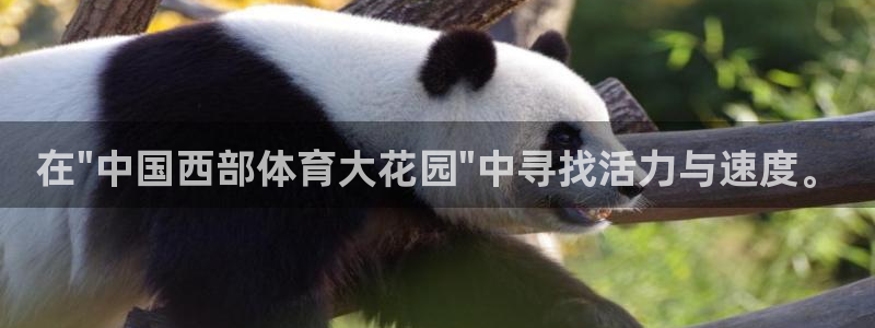 MK体育官网下载平台注册要钱吗是真的吗：在\