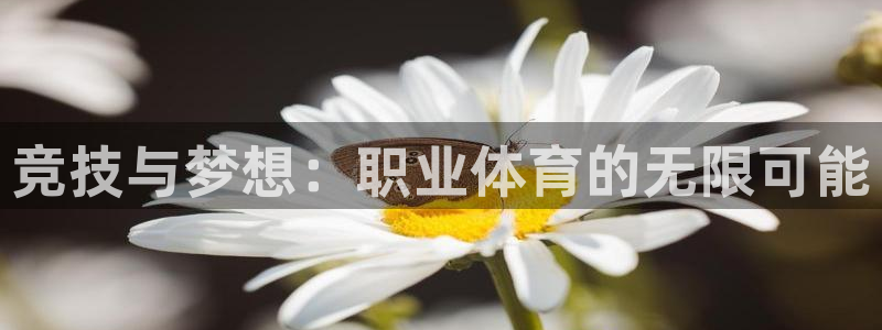 MK体育官方正版app神州：竞技与梦想：职业体育的无限可能