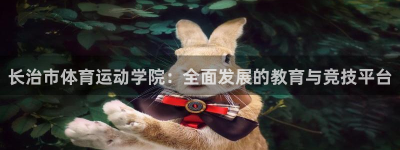 MK体育官方正版app开户