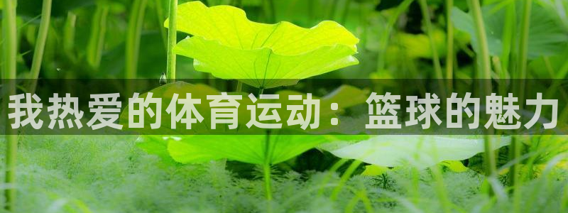 MK体育官方正版app新能源：我热爱的体育运动：篮球的魅力