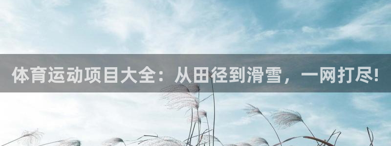 MK体育官网下载平台注册要钱吗：体育运动项目大全：从