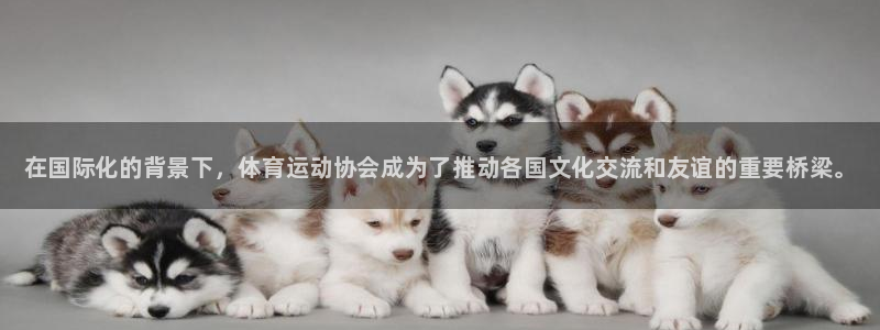 MK体育官方正版app娱乐代理怎么样：在国际化的背景下，体育