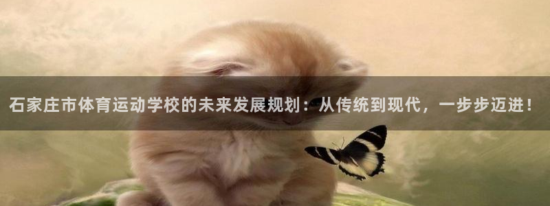 海南MK体育官网下载：石家庄市体育运动学校的未来发展规划：从