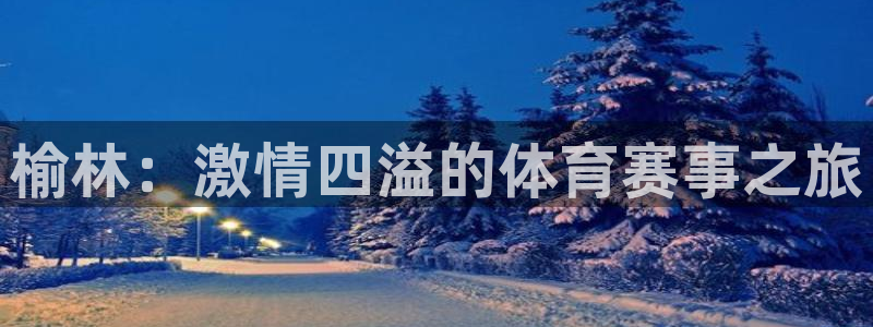 MK体育官方正版app集团logo