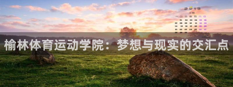 MK体育官网下载是干嘛的公司