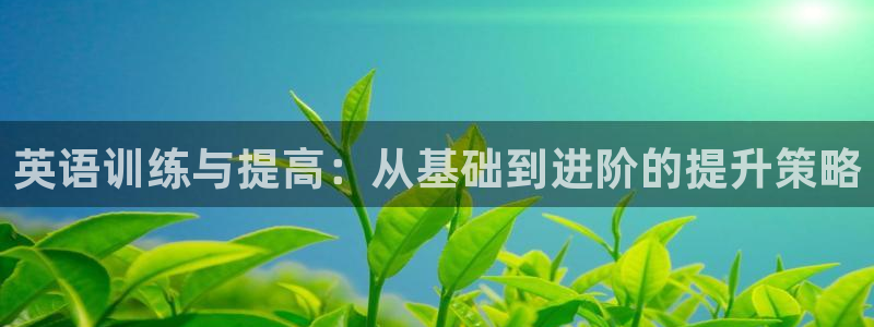 MK体育官方正版app集团logo：英语训练与提高：从基础到