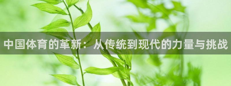 MK体育官网下载联系电话：中国体育的革新：从传统到现代的力量