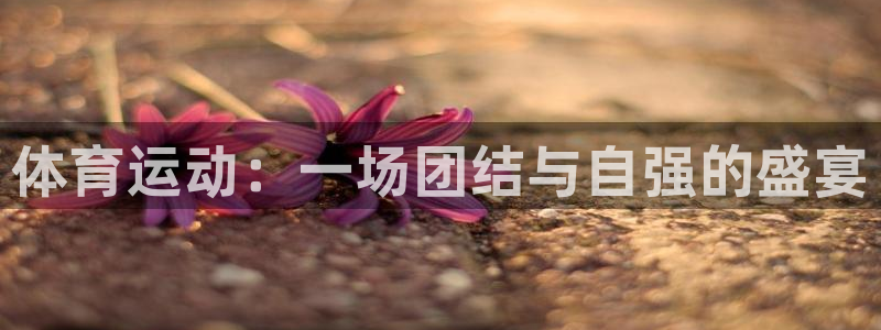 MK体育官网下载平台注册