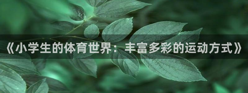 MK体育官网下载娱乐：《小学生的体育世界：丰富多彩的运动方式