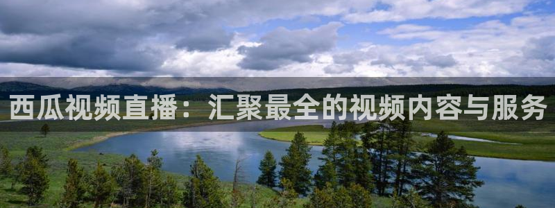 咪咕视频体育直播免费：西瓜视频直播：汇聚最全的视频内容与服务