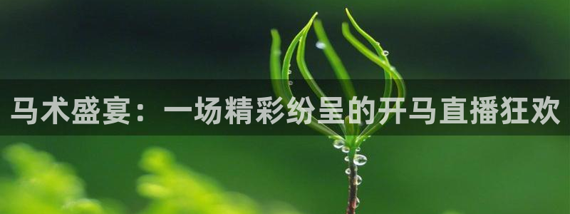 咪咕体育直播 免费：马术盛宴：一场精彩纷呈的开马直播狂欢
