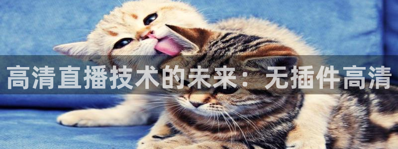 咪咕视频体育直播郑钦文今天：高清直播技术的未来：无插件高清