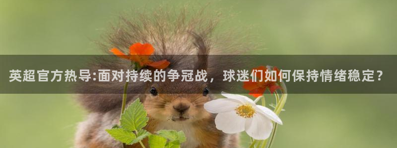 体育咪咕直播：英超官方热导:面对持续的争冠战，球迷们如何保持情绪稳定？