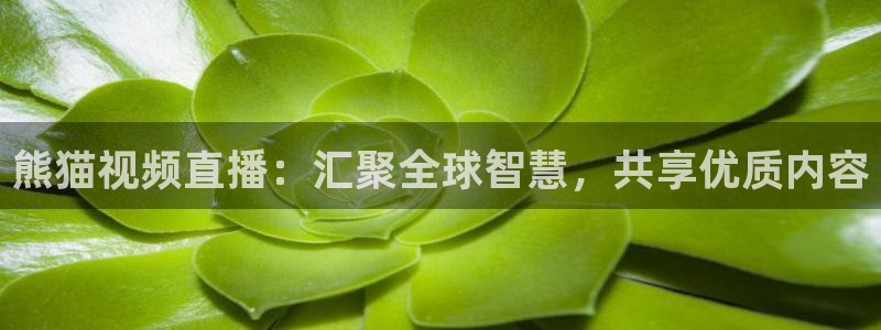 咪咕体育录像回放：熊猫视频直播：汇聚全球智慧，共享优质内容