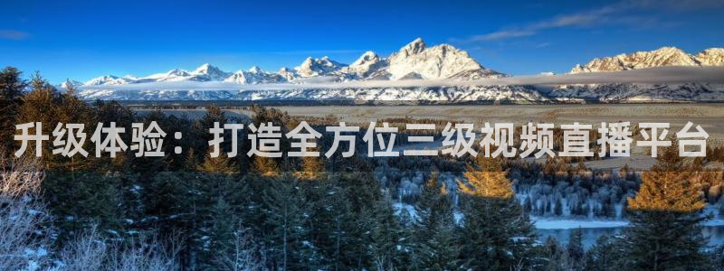 咪咕视频-上咪咕看英超：升级体验：打造全方位三级视频直播平台