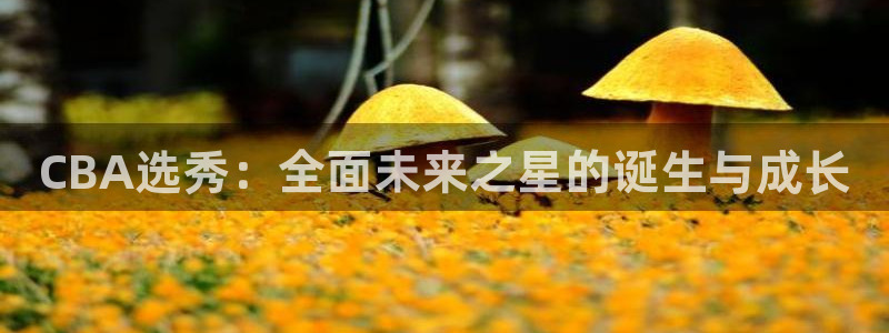 咪咕足球直播免费观看：CBA选秀：全面未来之星的诞生与成长