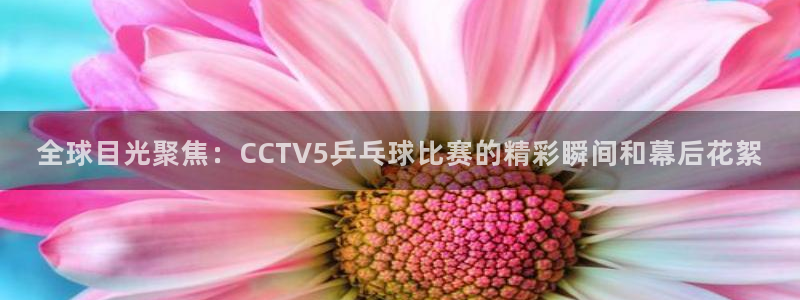 咪咕篮球直播：全球目光聚焦：CCTV5乒乓球比赛的精彩瞬间和幕后花絮